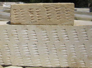 Basket Range Sandstone Hen Peck Sample