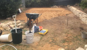 MHR Landscapes - Random Wallers